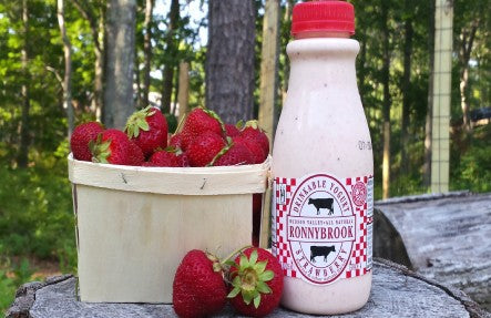 Ronnybrook Drinkable Yogurts 3 pack Strawberry