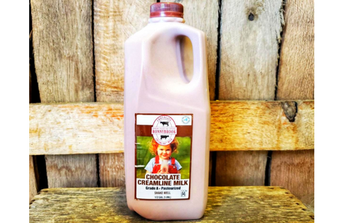 Ronnybrook Chocolate Milk- 1/2gallon