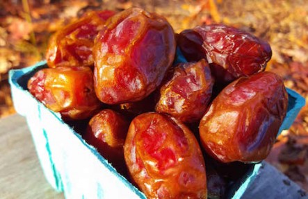 Organic Dried Dates 1lb