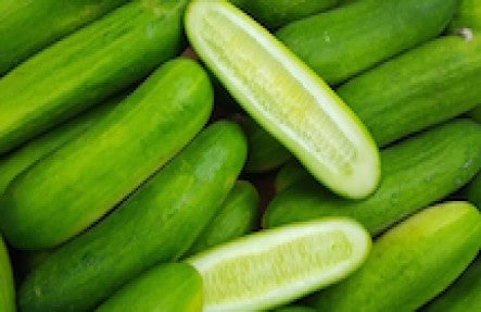 Organic Cucumbers 3lb Bag
