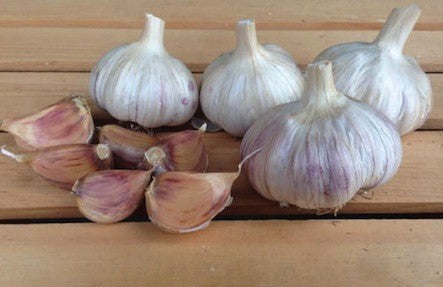 Organic Garlic Heads 1lb