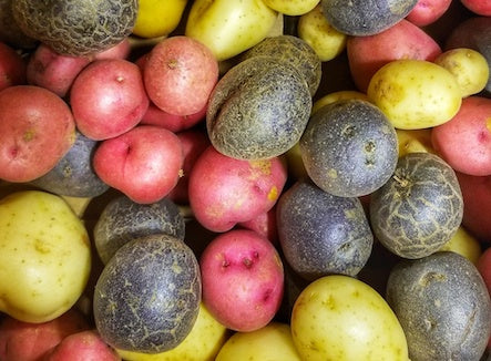 Organic Fingerling Potatoes Chefs Blend 3lbs