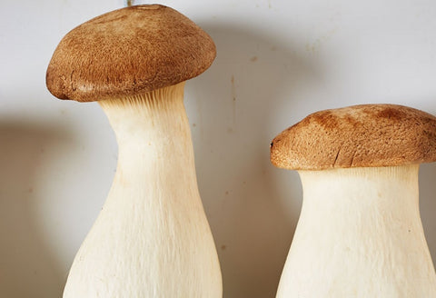 Trumpet Mushrooms 1lb