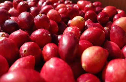 Organic Fresh Cranberries 1lb