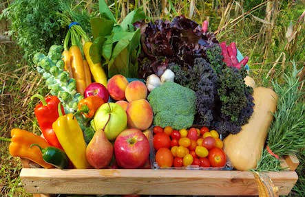 Fruit & Veggie Share, 5.5% Weekly Savings