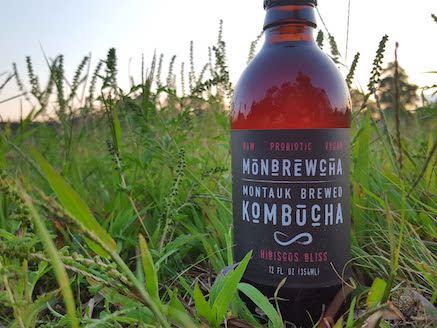 SUBSCRIBE: Hibiscus Bliss, Organic Kombucha  12oz