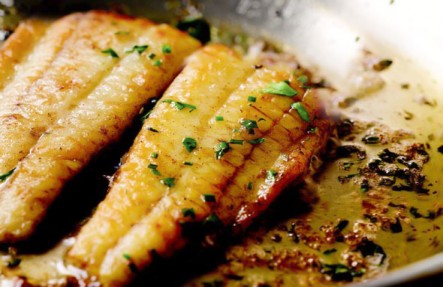 Local Fluke Fillet 1.1lb- FROZEN $21lb