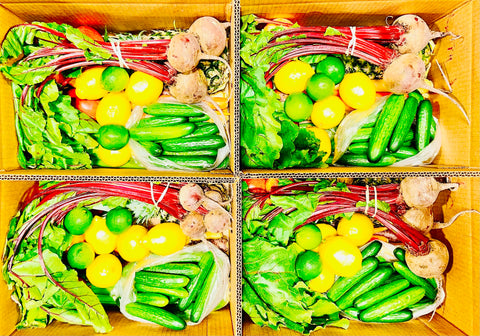 Juicing Basket