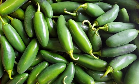 Organic Jalapeno Peppers 1lb Bag