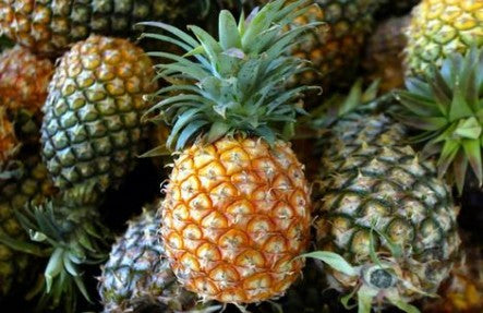 Organic Pineapple