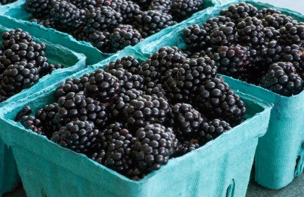 Blackberries- Full Pint
