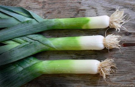 Organic Leeks