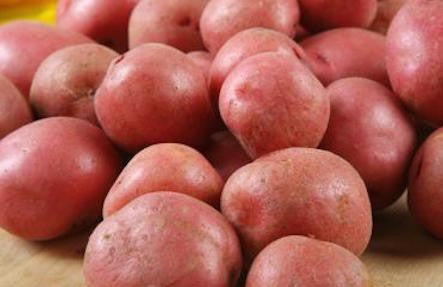 Adirondack Red Potatoes 3lb Bag