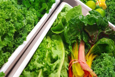 New Organic Juicing Basket: Subscription_CLONE