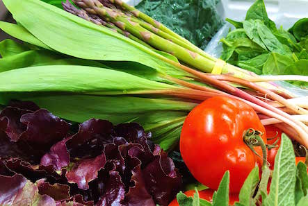 F & V Basket "COUPLES & SINGLES SIZE": Subscription