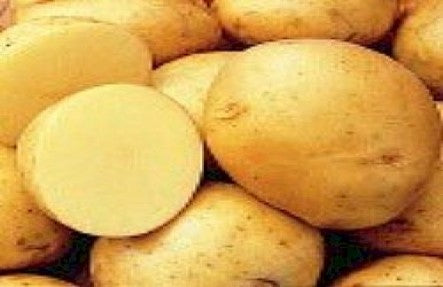 Organic Yukon Gold Potatoes 3lb Bag