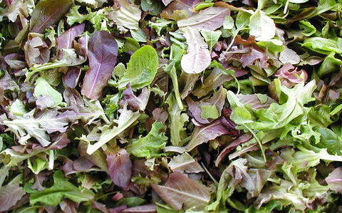Mesclun Mix 1lb Bag