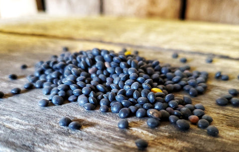 Black Beluga Lentils