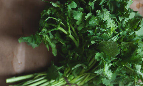 Broccoli Raab 2 pack
