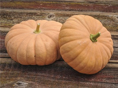 LI Cheese Pumpkins 10lb
