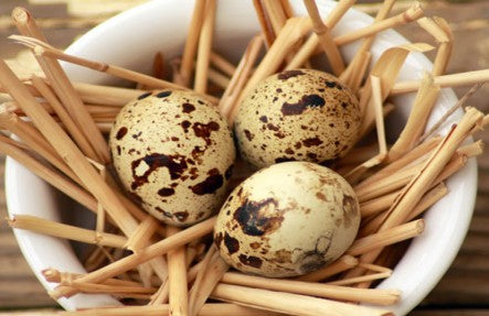 200 Quail Eggs