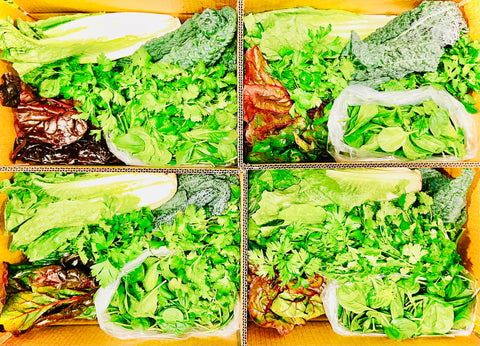 Juicing Basket