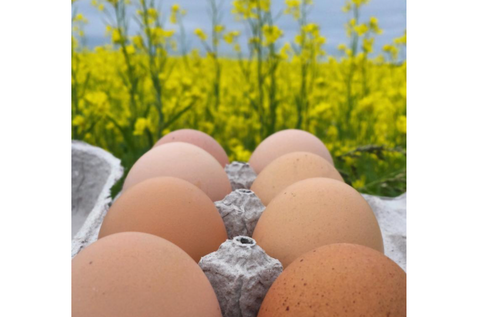 Certified Organic Eggs Dozen