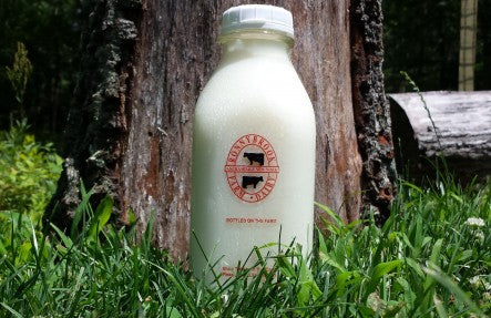 SUBSCRIBE: Ronnybrook Skim Milk- 1/2 Gallon