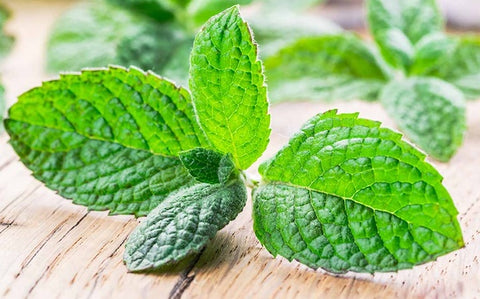 Apple Mint Bunches