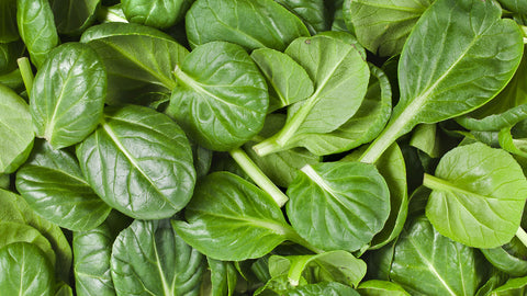 Baby Spinach-1lb Bag