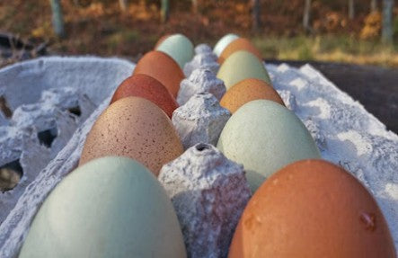3 Chicks Farm Eggs