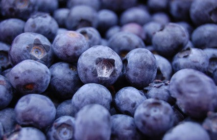 Blueberry Pint