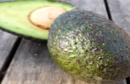 Organic Avocado 4 Pack