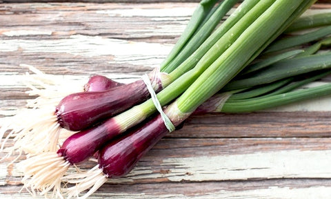 Red Spring Onions
