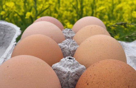 2 Pack Hemlock Hill Pastured Eggs